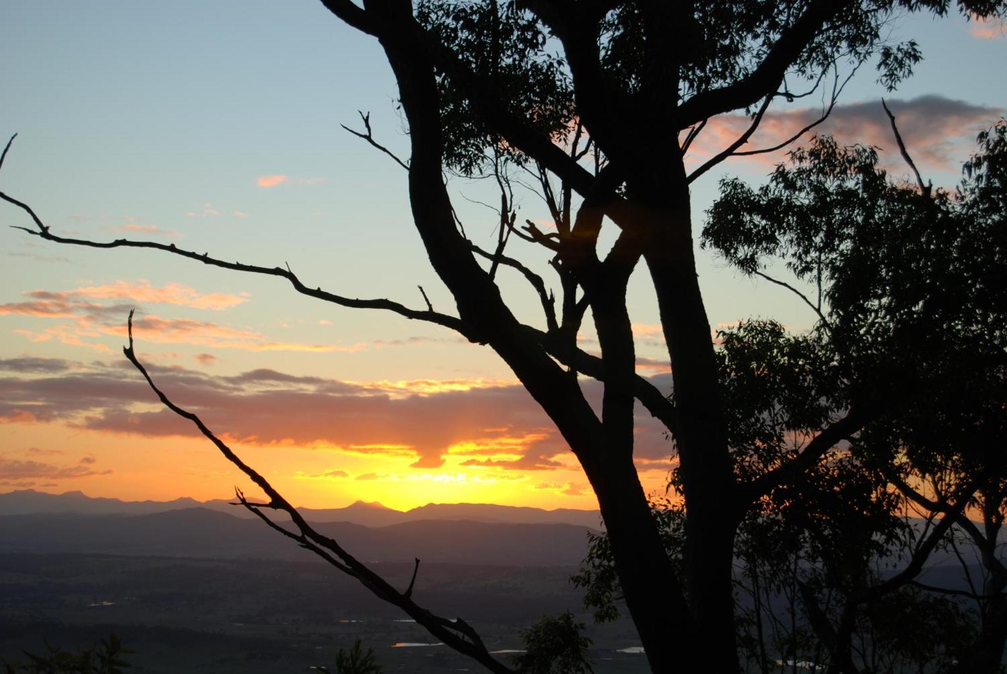 Witches Falls Cottages Mount Tamborine Kültér fotó