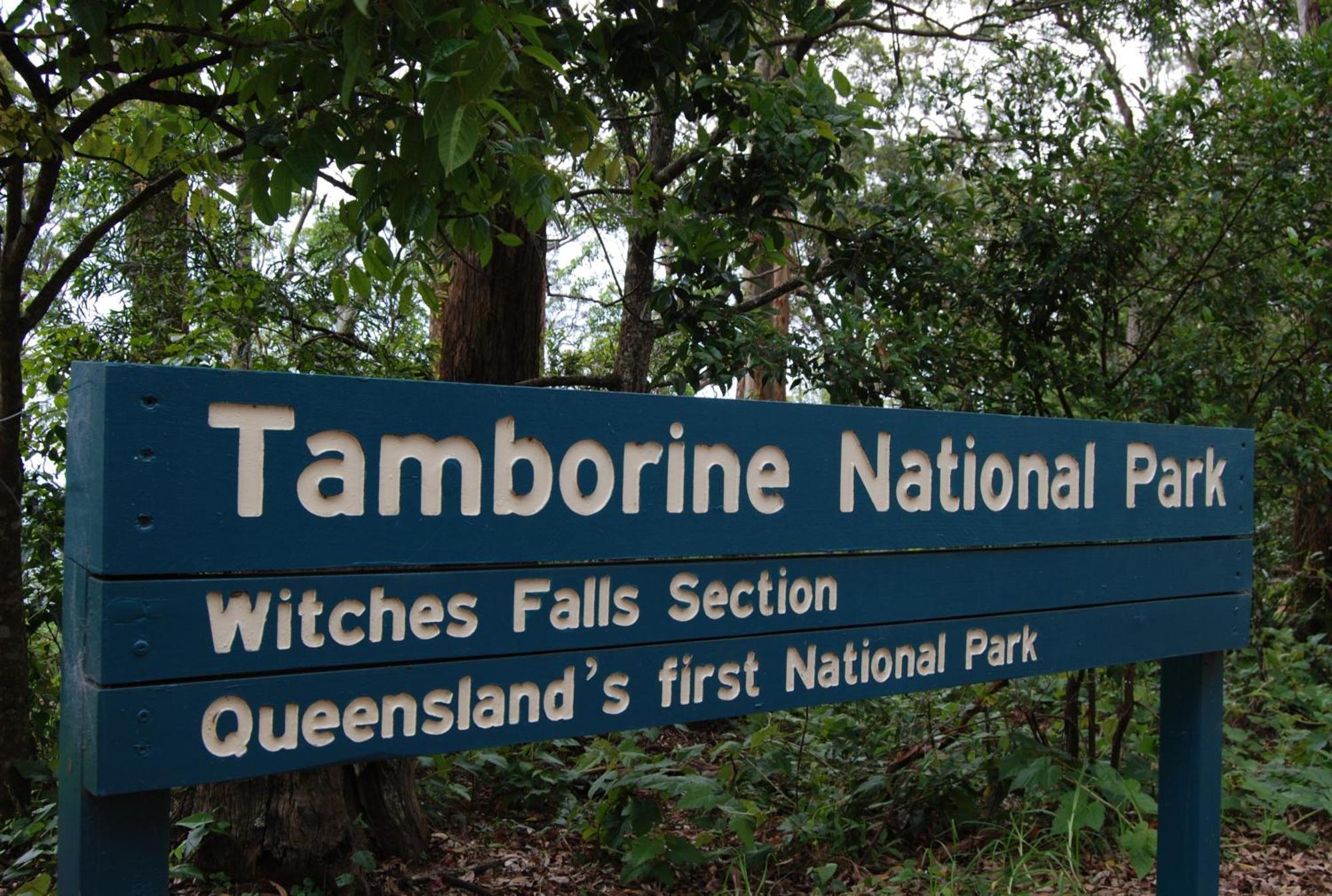 Witches Falls Cottages Mount Tamborine Kültér fotó